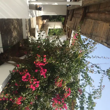 Casual Panareal Acquacalda