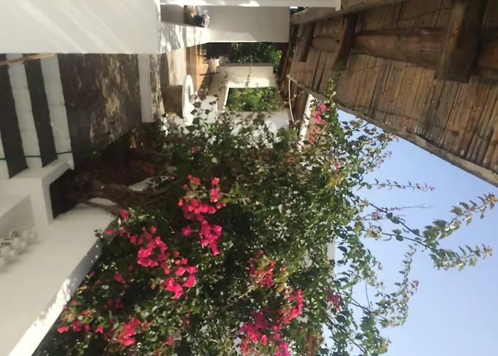 Casual Panareal Acquacalda