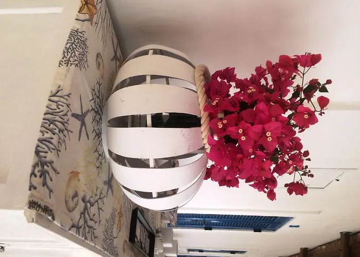 Casual Panareal Guest house 3*