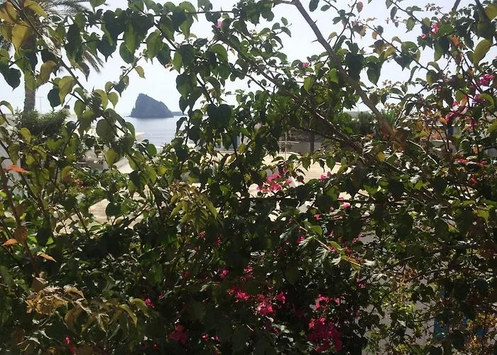 Guest house Casual Panareal 3*