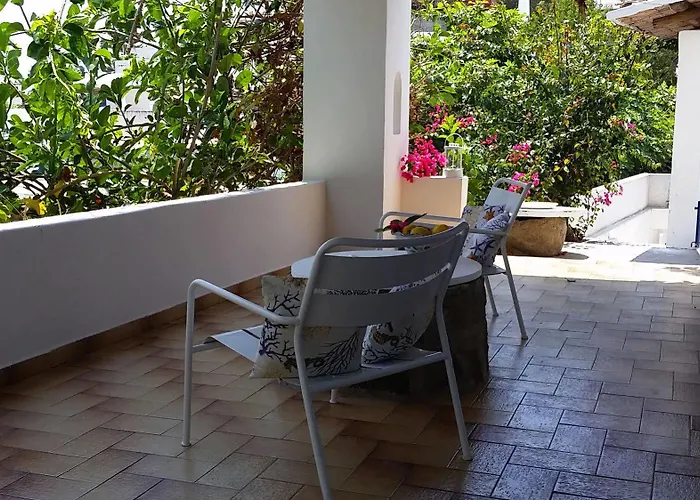 Casual Panareal Guest house