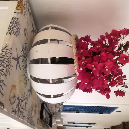 Casual Panareal بيت ضيافة 3*