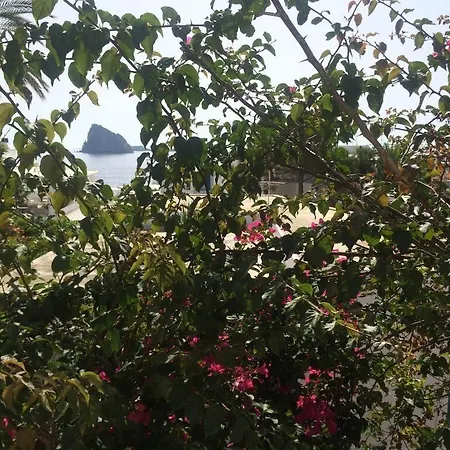 بيت ضيافة Casual Panareal 3*