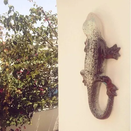 Casual Panareal بيت ضيافة 3*