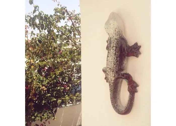 Casual Panareal Affittacamere 3*